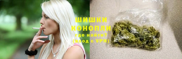метадон Богданович