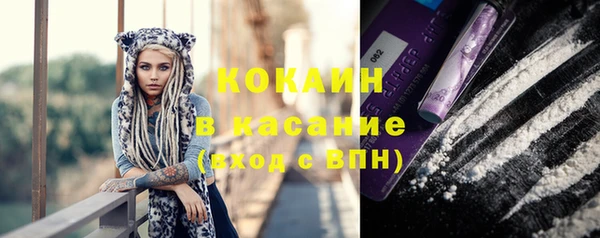 метадон Богданович