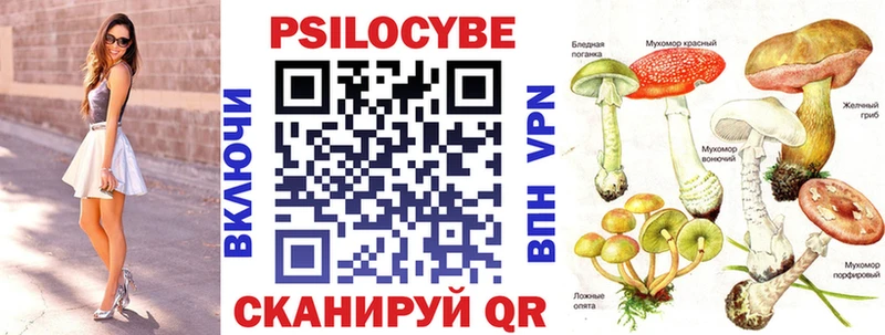 Галлюциногенные грибы Cubensis  Реутов 